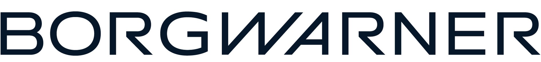 BorgWarner_new_Logo
